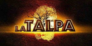 La Talpa – Who is the mole, il debutto è un successo su Canale 5: boom di contatti sui social e su Mediaset Infinity